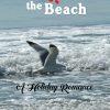 Christmastime on the Beach: A Holiday Romance